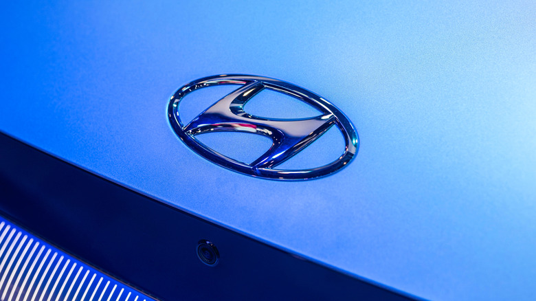 2022 Hyundai Ioniq 5 front hood badge close-up