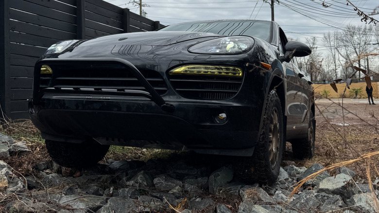 Cayenne climbing over rocks