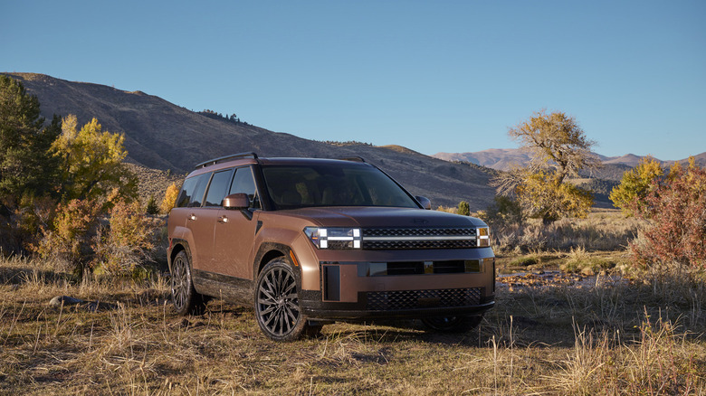 A brown Hyundai santa fe