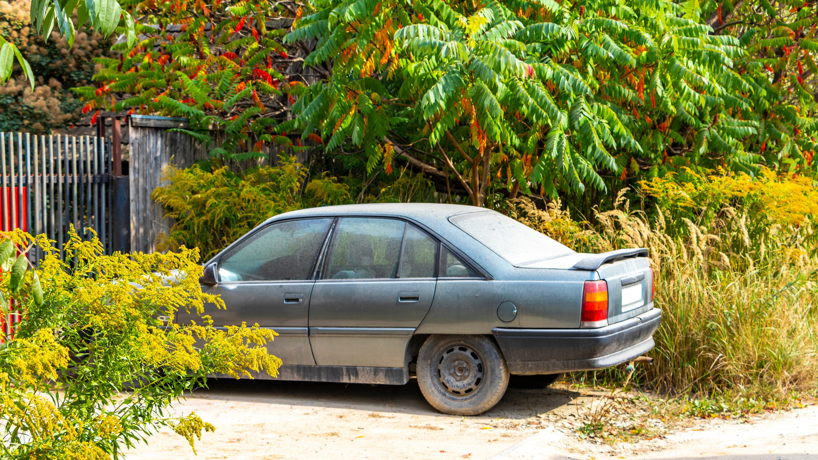 If cars could talk, would they speak with their maker's accent or their birthplace's?