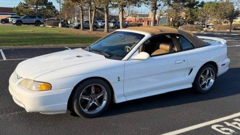 White Mustang Cobra
