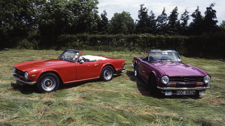 Two Triumph TR6s parked in a grassy field