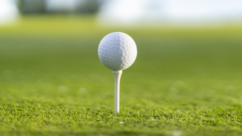 A golf ball sitting on top of a tee on a manicured fairway