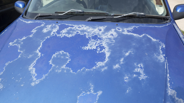 Blue car pinch peeling overgarment and oxidation connected nan hood