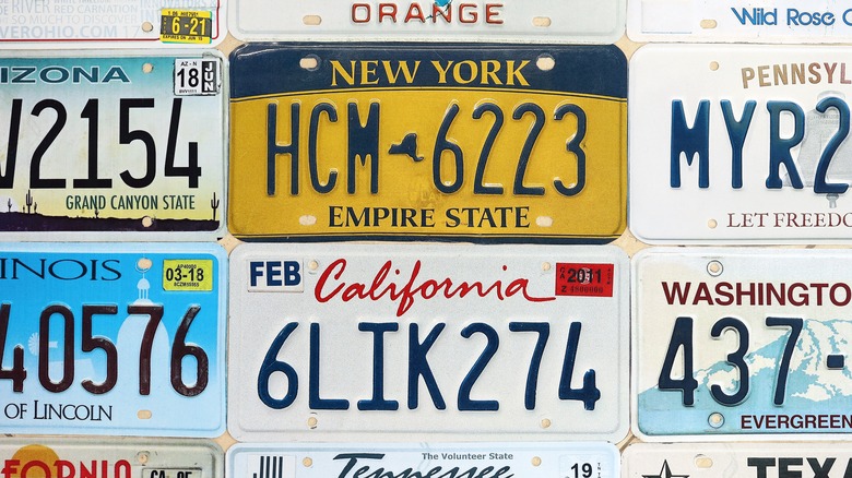 Many U.S. license plates with different designs and numbers.