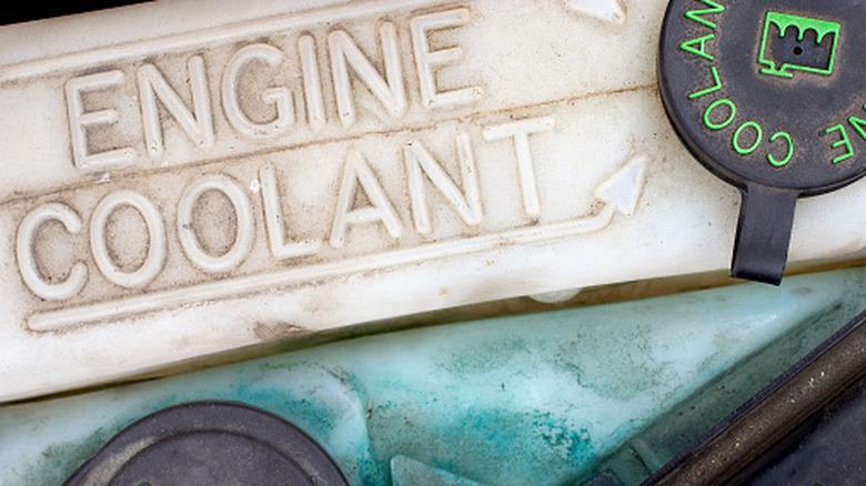Close up of engine coolant tank