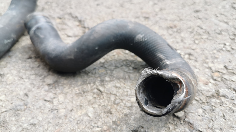 A used rubber radiator hose from a small car engine