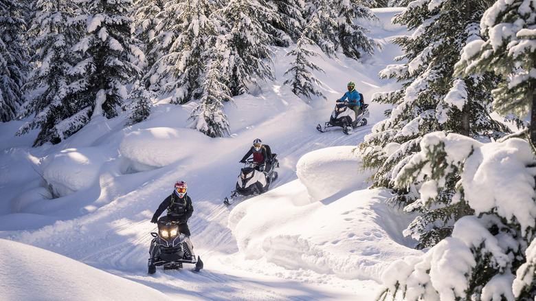 A group of snowmobilers riding on a trail through the trees.