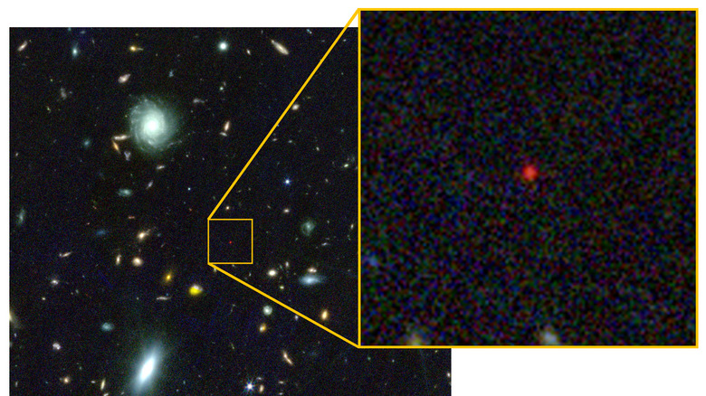In these James Webb Space Telescope (JWST) images, the black hole star stands out as a little red dot. Such little red dots are extremely common in JWST images.