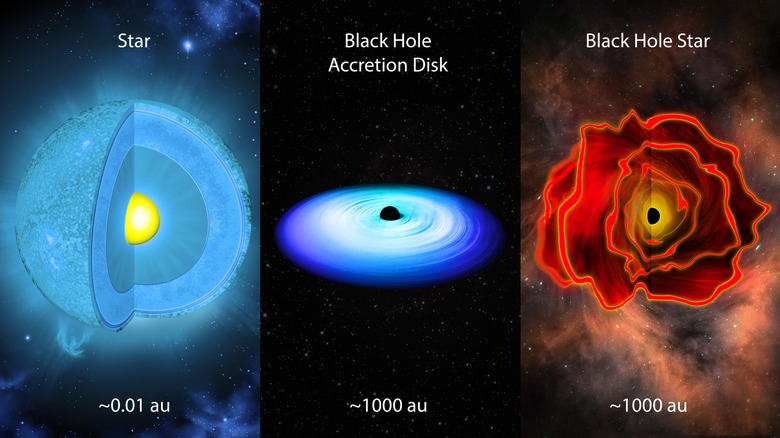 A triptych representation of a star, a black hole accretion disk, and a black hole star