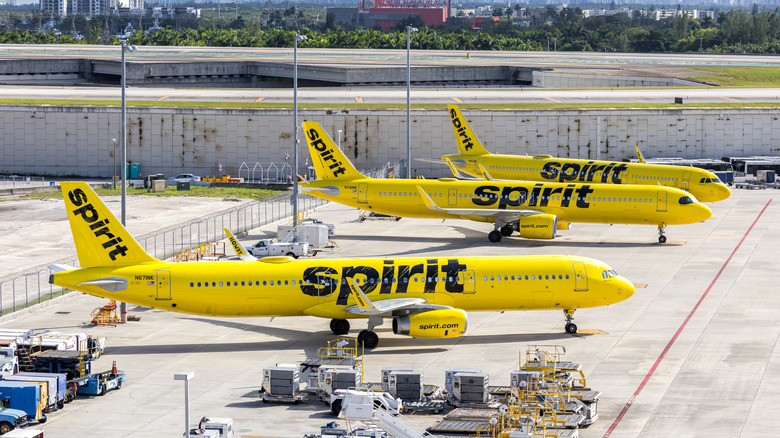 Three Spirit Airlines planes in their yellow livery on the ground at an airport