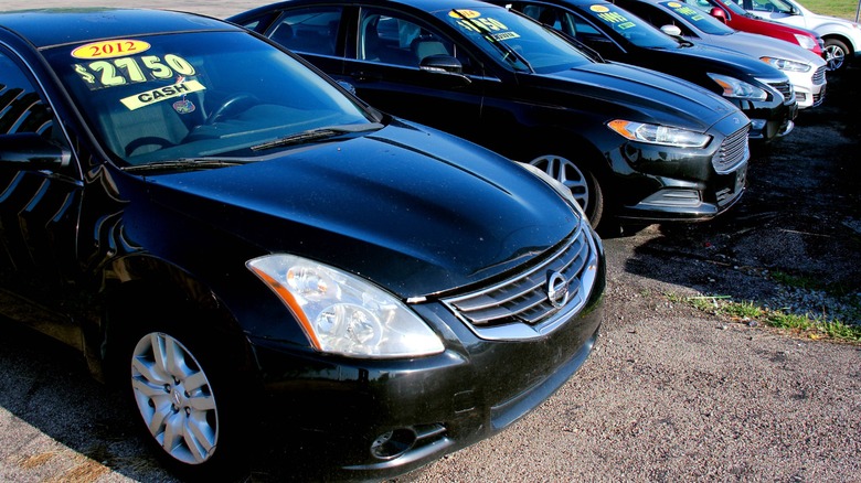 Used cars lined up on sales lot.