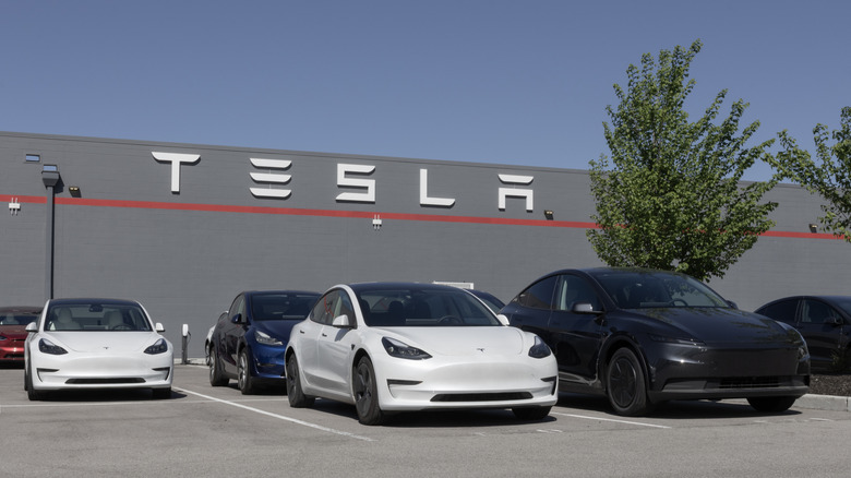 a bunch of tesla model xs parked in front of a Tesla dealership