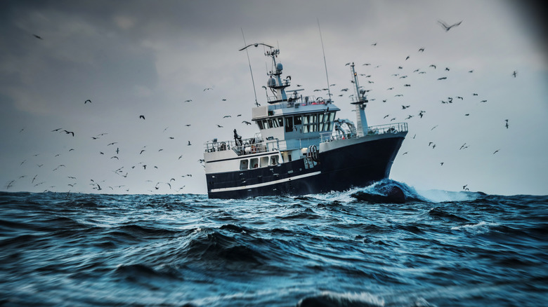 A fishing boat in rough seas, flock of birds flying around it