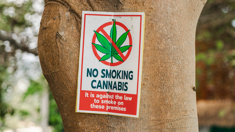 No smoking cannabis prohibition sign attached to tree in tropical resort area Koh Samui Thailand.