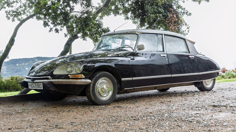An old black Citroen DS parked underneath a treeline.