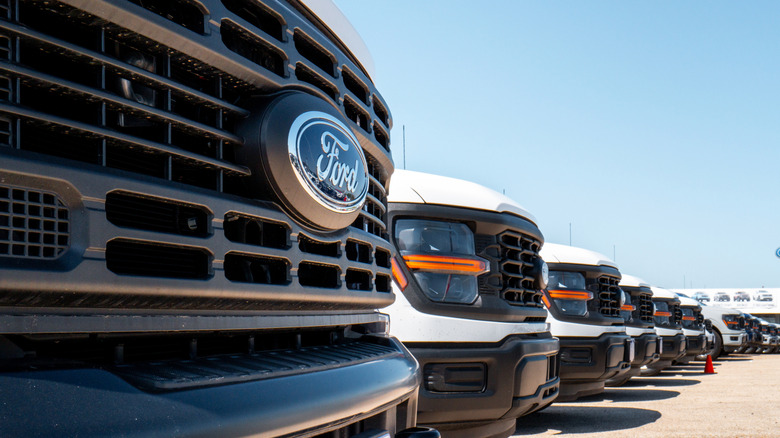 A line of Ford F-Series pickups parked on a car lot