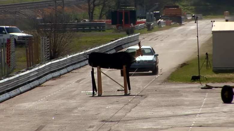 A car about to crash into a dummy moose on 'MythBusters' TV show.