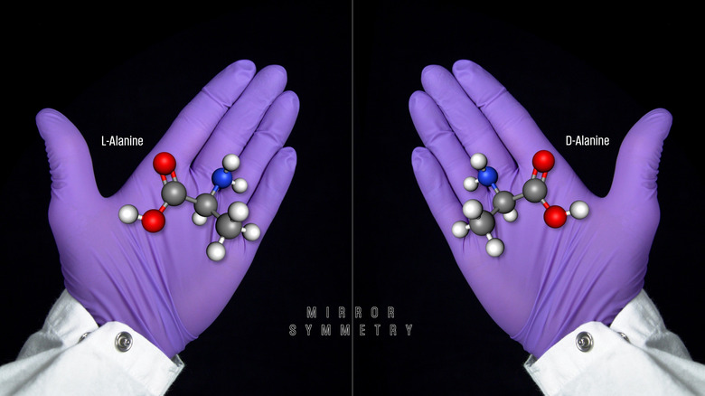 A representation of the mirror structures of an amino acid (alanine) against a scientist's gloved hands