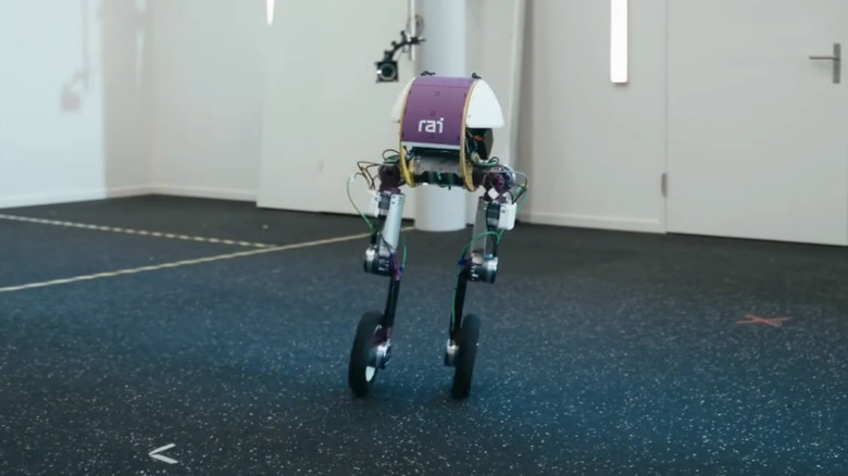 RAI Institute's "Roadrunner" robot rolling around on two wheels