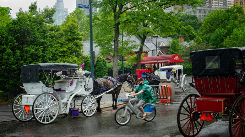 New York, New York, United States-May 16, 2025: drawn carriages outside the Tavern on the green in Manhaatan