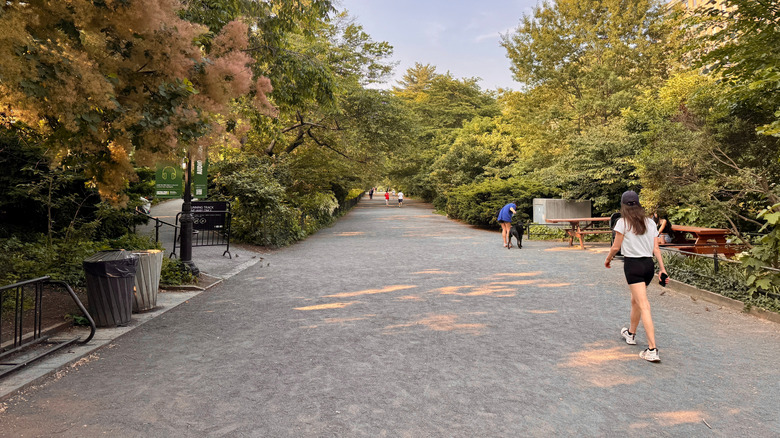 People walking on The Bridle Path of Central Park in New York.