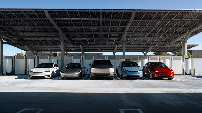 A group of Teslas charging under a solar-powered Supercharger station