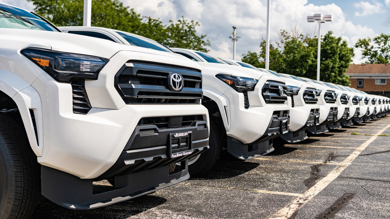 Toyota Tacomas