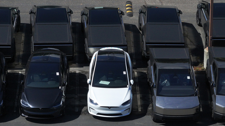 In an aerial view, brand new Tesla cars sit parked in a lot at a Tesla dealership on April 02, 2025 in Corte Madera, California.