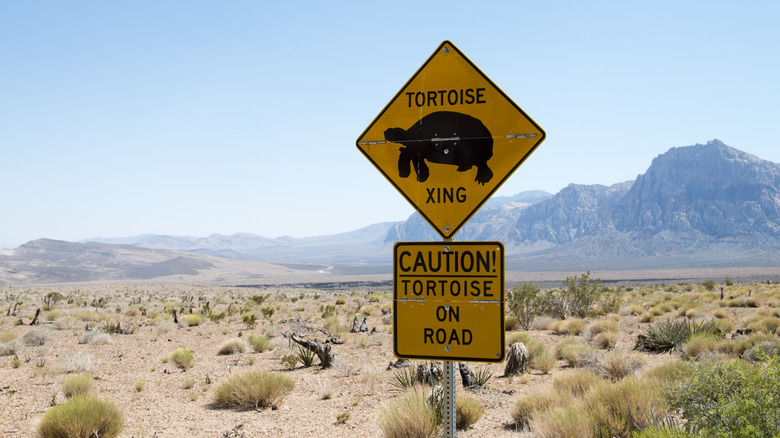Warning sign in front of the scenic landscape at Red Rock Canyon, Nevada