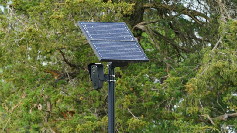 Flock camera and solar panel mounted on a pole