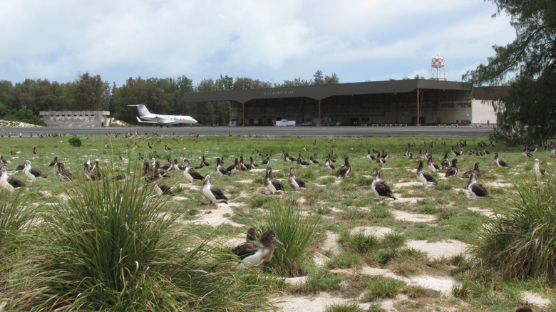 A plane parked in front of a former Naval Air Facility Hanger at Henderson Field