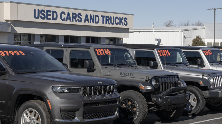 A used car lot full of Jeeps.
