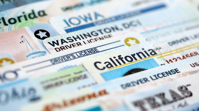 Big amount of driving licenses from different USA states. Stack of driving license specimen cards