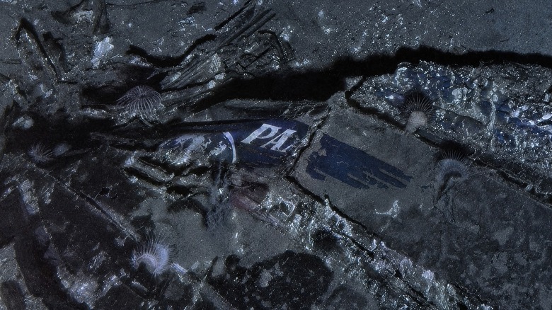 A close-up of the remaining Pan Am logo on the side of the Clipper Endeavor's remains.