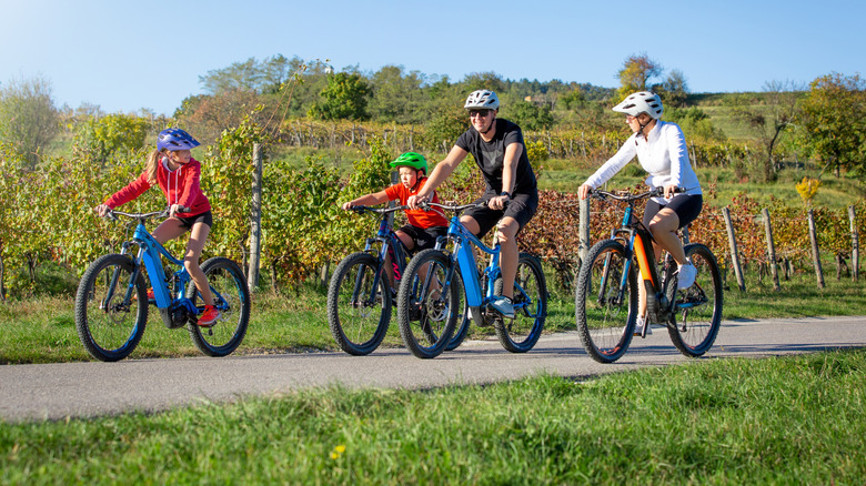 A family riding e-bikes on a bicycle path