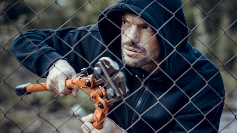 Thief cutting open a chain-link fence