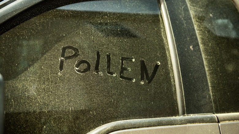 Pollen-covered car window with "pollen" written in the debris