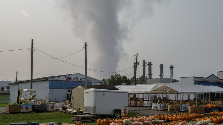 Steam from a power plant rises above a pumpkin market on September 16, 2020, in Shamokin Dam, PA.