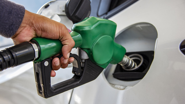A man's manus holding a greenish diesel filling grip refueling a achromatic car