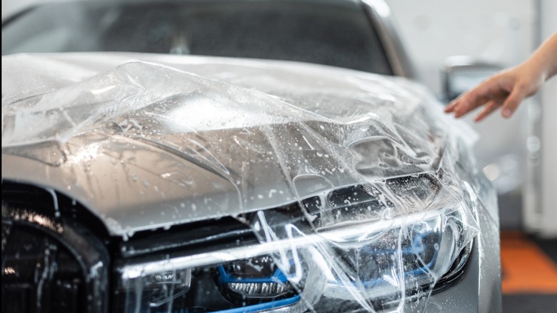 Applying paint protection film to a silver car's hood