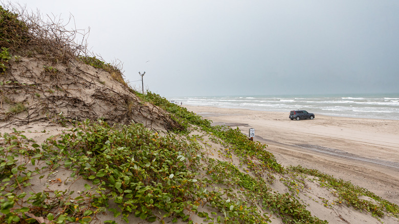 Kia Soul on a Texas Beach