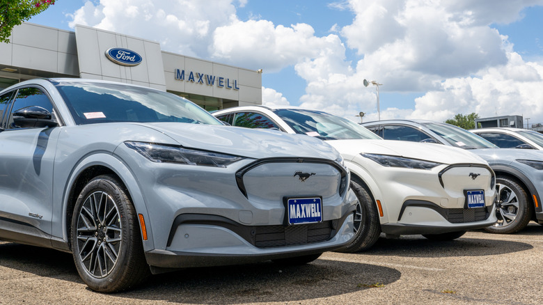 ord Mustang Mach-E vehicles are seen for sale on a dealership lot on June 24, 2025 in Austin, Texas.