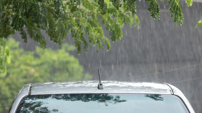 The roof of a car demonstrates its parked under a train during a rainstorm, a new fear unlocked for your paint.