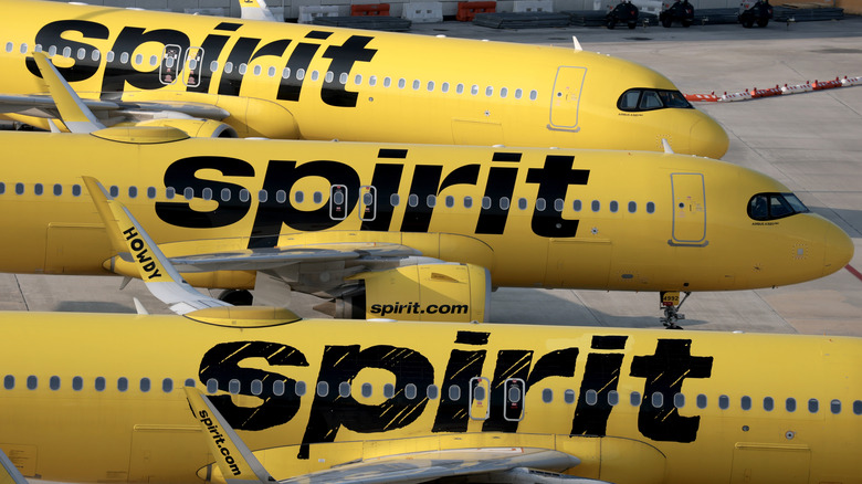 Side view of three Spirit Airlines aircraft parked close to each other soon after the company went out of business
