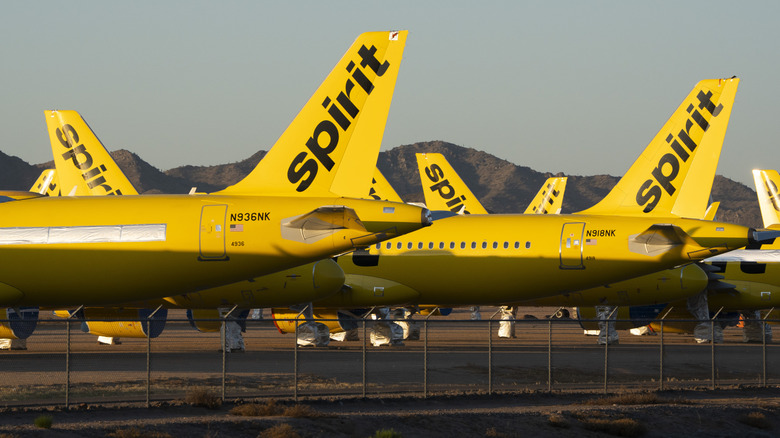 Numerous Spirit Airlines aircraft parked in storage in the Arizona desert