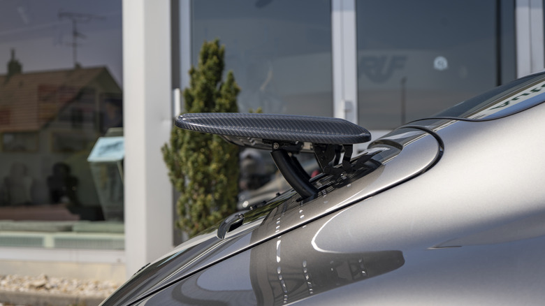 Ruf Ehra decklid wing