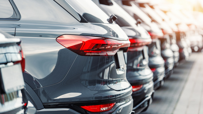 A line of used SUVs parked on a dealer lot