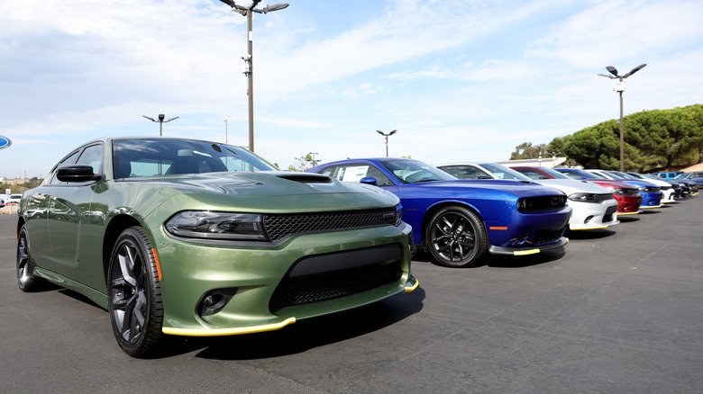 Dodge chargers of multiple colors in a parking lot