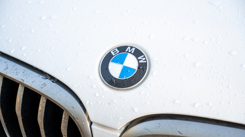 Close-up of front grille of a vehicle with BMW logo emblem visible, Newport Beach, California, December 25, 2025.
